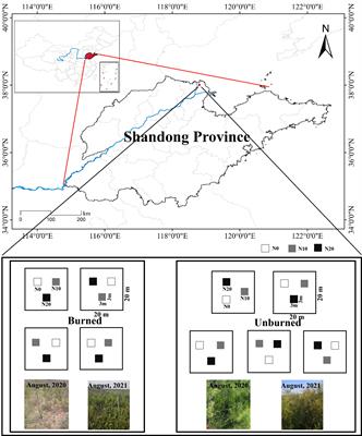 The combined effect of fire and nitrogen addition on biodiversity and herbaceous aboveground productivity in a coastal shrubland